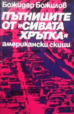 Пътниците от ”Сивата хрътка”