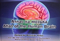 Атлас на мозъка / Atlas of the Human Brain