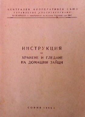 Инструкция по хранене и гледане на домашни зайци