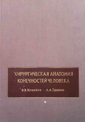 Хирургическая анатомия конечностей человека