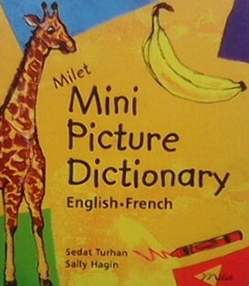 Mini picture dictionary